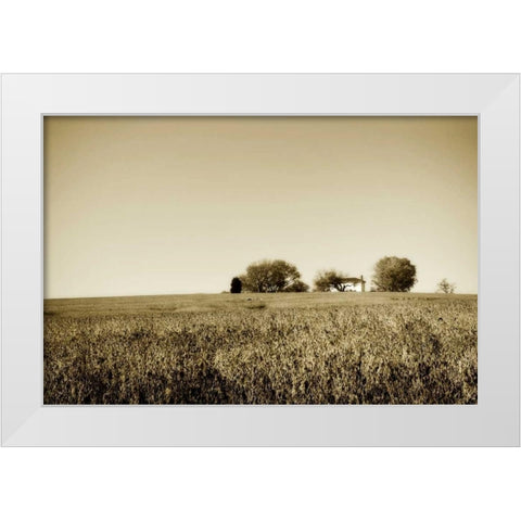 Goochland Farm I White Modern Wood Framed Art Print by Hausenflock, Alan