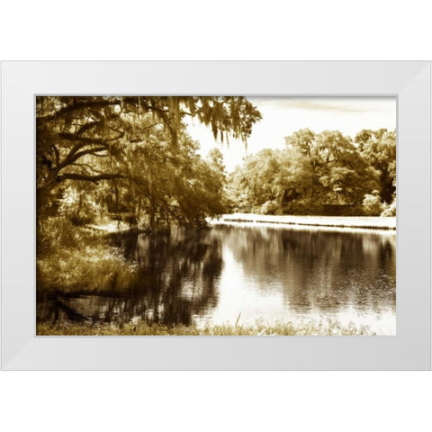 Mossy Lake I White Modern Wood Framed Art Print by Hausenflock, Alan