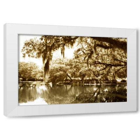 Mossy Lake II White Modern Wood Framed Art Print by Hausenflock, Alan