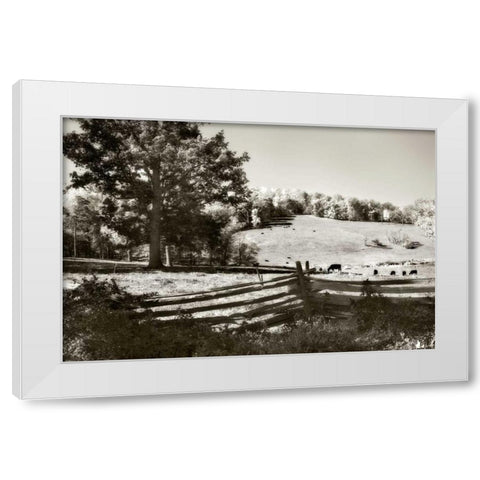 Autumn Pastures I White Modern Wood Framed Art Print by Hausenflock, Alan