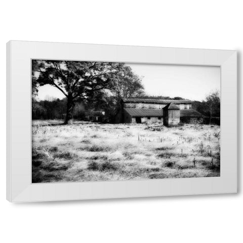 Fallow Fields I White Modern Wood Framed Art Print by Hausenflock, Alan