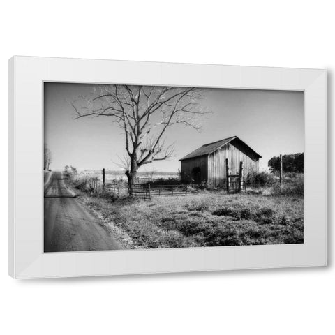 Rural Route VI32 II White Modern Wood Framed Art Print by Hausenflock, Alan