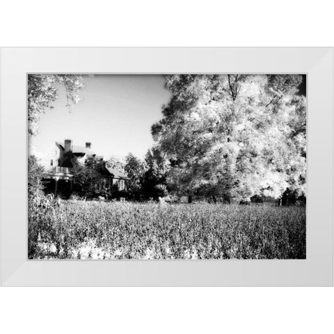 Rural Route III3 II White Modern Wood Framed Art Print by Hausenflock, Alan