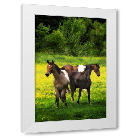 The Horses Three I White Modern Wood Framed Art Print by Hausenflock, Alan