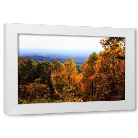 Shenandoah Valley II White Modern Wood Framed Art Print by Hausenflock, Alan