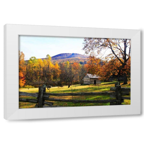 Homestead II White Modern Wood Framed Art Print by Hausenflock, Alan