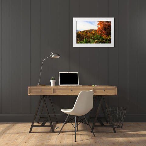 Rockfish Gap White Modern Wood Framed Art Print by Hausenflock, Alan