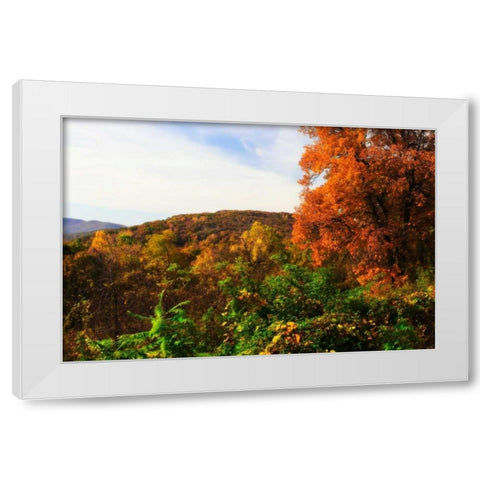 Rockfish Gap White Modern Wood Framed Art Print by Hausenflock, Alan