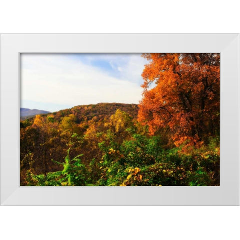 Rockfish Gap White Modern Wood Framed Art Print by Hausenflock, Alan