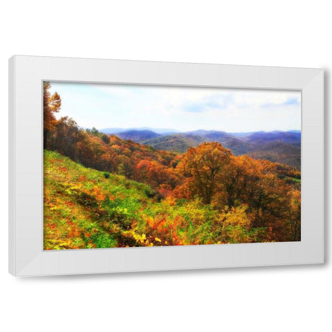 Sawmill Run White Modern Wood Framed Art Print by Hausenflock, Alan