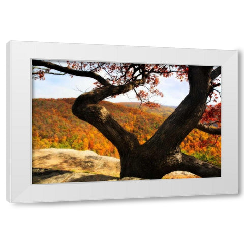 Wildcat Ridge II White Modern Wood Framed Art Print by Hausenflock, Alan