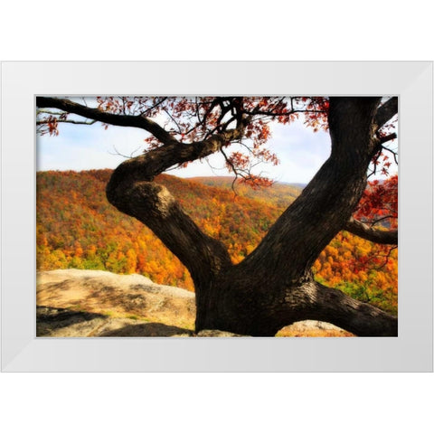 Wildcat Ridge II White Modern Wood Framed Art Print by Hausenflock, Alan