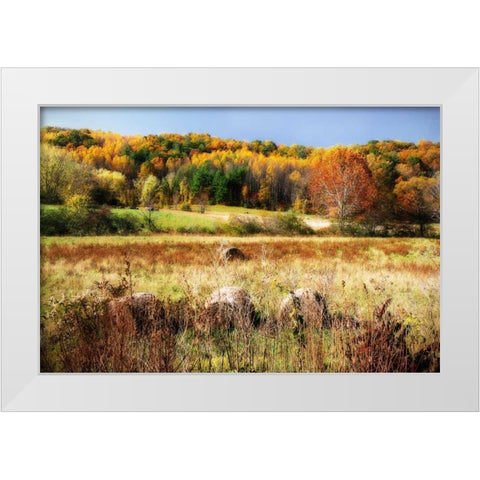 Sperryville Fields II White Modern Wood Framed Art Print by Hausenflock, Alan