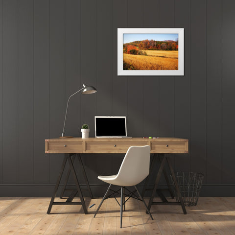 Sperryville Fields IV White Modern Wood Framed Art Print by Hausenflock, Alan