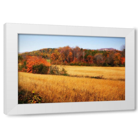 Sperryville Fields IV White Modern Wood Framed Art Print by Hausenflock, Alan