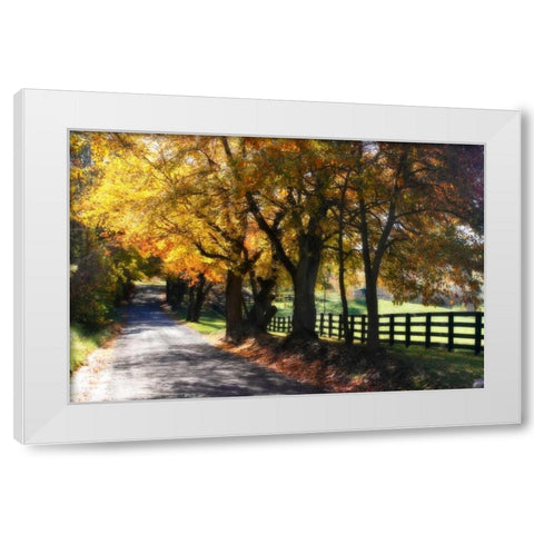 Country Road I White Modern Wood Framed Art Print by Hausenflock, Alan