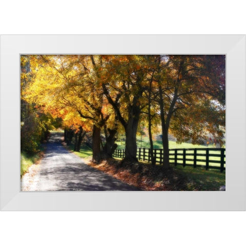 Country Road I White Modern Wood Framed Art Print by Hausenflock, Alan
