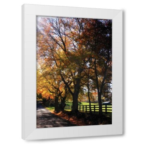 Country Road IV White Modern Wood Framed Art Print by Hausenflock, Alan