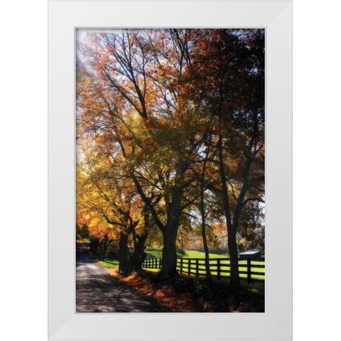 Country Road IV White Modern Wood Framed Art Print by Hausenflock, Alan
