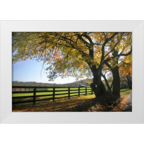 Hillside Farm I White Modern Wood Framed Art Print by Hausenflock, Alan