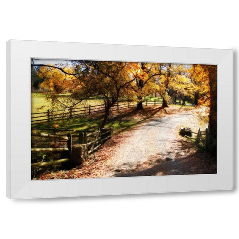 Autumn on Kent Farm II White Modern Wood Framed Art Print by Hausenflock, Alan