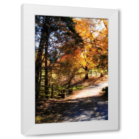 Autumn on Kent Farm III White Modern Wood Framed Art Print by Hausenflock, Alan