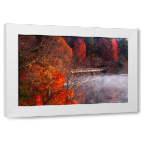 Cold Autumn Morning I White Modern Wood Framed Art Print by Hausenflock, Alan