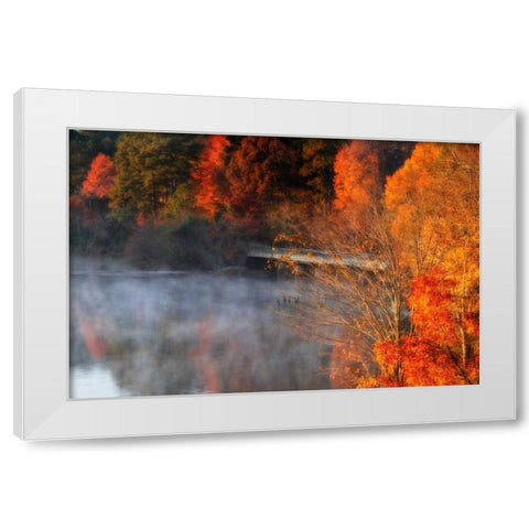 Cold Autumn Morning II White Modern Wood Framed Art Print by Hausenflock, Alan