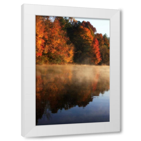 Autumn Mist I White Modern Wood Framed Art Print by Hausenflock, Alan