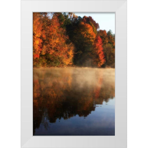 Autumn Mist I White Modern Wood Framed Art Print by Hausenflock, Alan