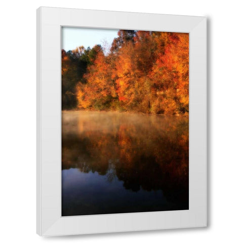 Autumn Mist II White Modern Wood Framed Art Print by Hausenflock, Alan