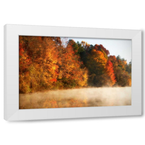Autumn Mist III White Modern Wood Framed Art Print by Hausenflock, Alan