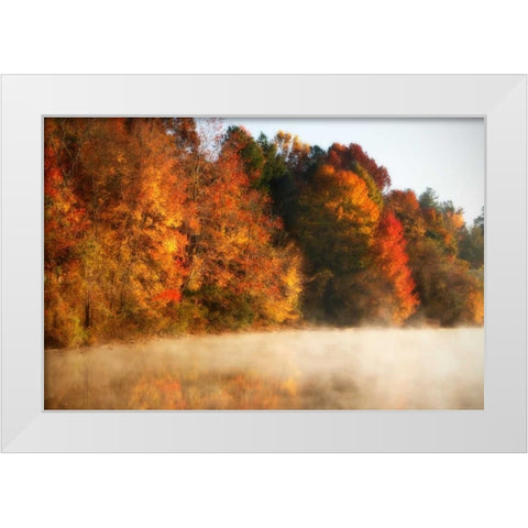 Autumn Mist III White Modern Wood Framed Art Print by Hausenflock, Alan