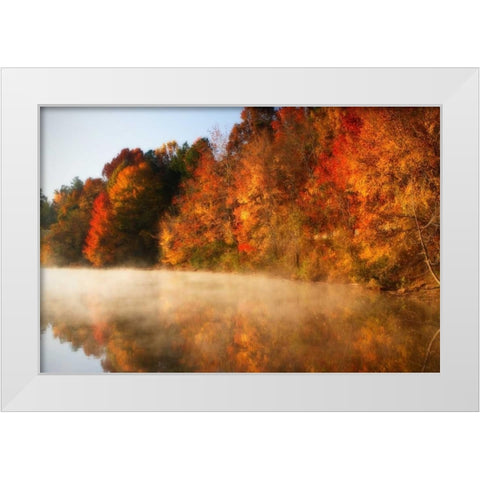 Autumn Mist IV White Modern Wood Framed Art Print by Hausenflock, Alan