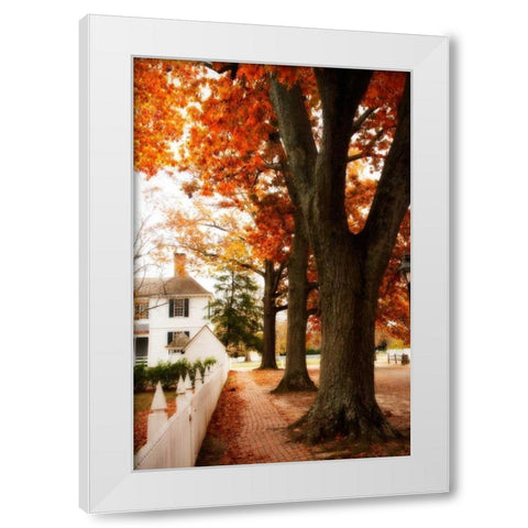 Small Town Autumn II White Modern Wood Framed Art Print by Hausenflock, Alan