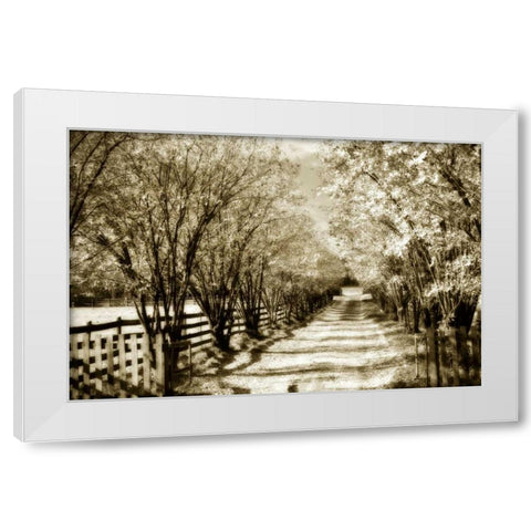 Glen Allen Farm I White Modern Wood Framed Art Print by Hausenflock, Alan