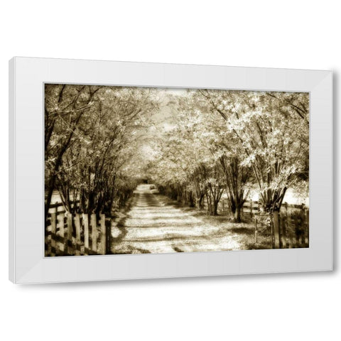Glen Allen Farm II White Modern Wood Framed Art Print by Hausenflock, Alan