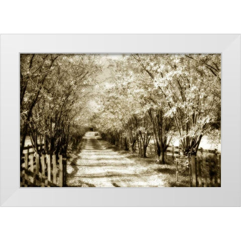 Glen Allen Farm II White Modern Wood Framed Art Print by Hausenflock, Alan