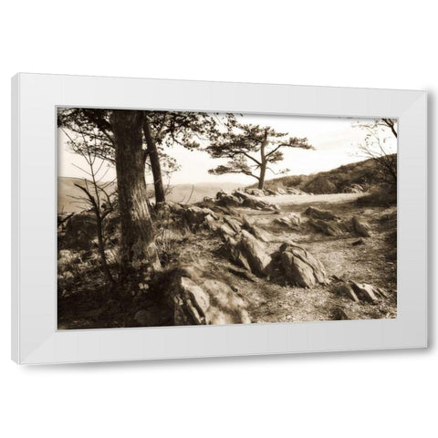 Stoney Ridge II Sepia White Modern Wood Framed Art Print by Hausenflock, Alan