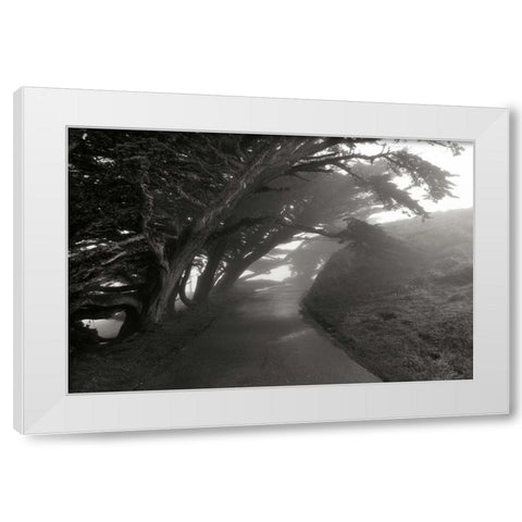 Point Reyes I White Modern Wood Framed Art Print by Johnson, George
