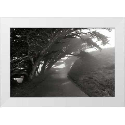 Point Reyes I White Modern Wood Framed Art Print by Johnson, George