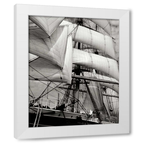 Star of India II White Modern Wood Framed Art Print by Johnson, George
