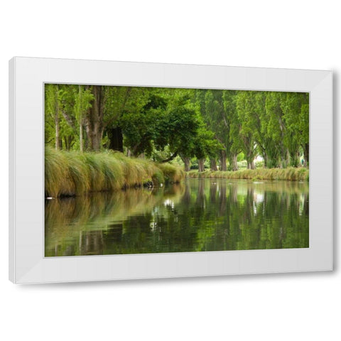 Avon River II White Modern Wood Framed Art Print by Johnson, George