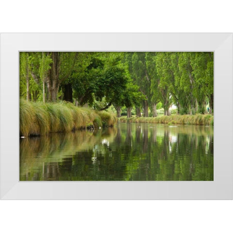 Avon River II White Modern Wood Framed Art Print by Johnson, George