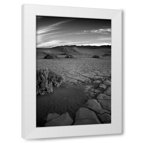 Death Valley Dunes II White Modern Wood Framed Art Print by Johnson, George