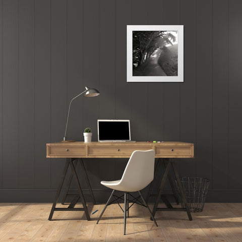 Point Reyes III White Modern Wood Framed Art Print by Johnson, George