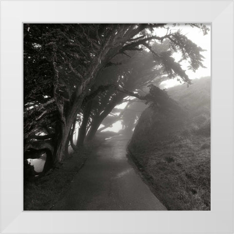 Point Reyes III White Modern Wood Framed Art Print by Johnson, George