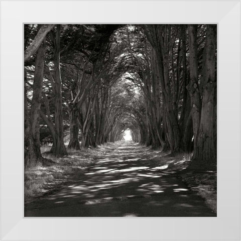 Point Reyes IV White Modern Wood Framed Art Print by Johnson, George