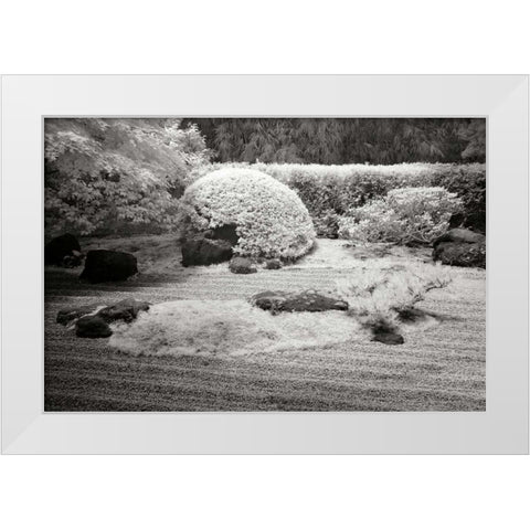 San Francisco Garden II White Modern Wood Framed Art Print by Johnson, George
