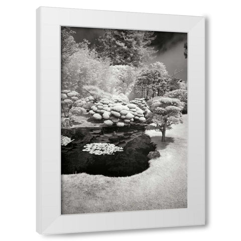 San Francisco Garden III White Modern Wood Framed Art Print by Johnson, George